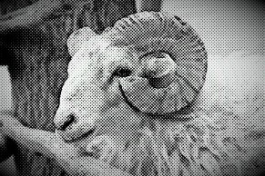 PaperArtist_2014-08-30_18-43-36